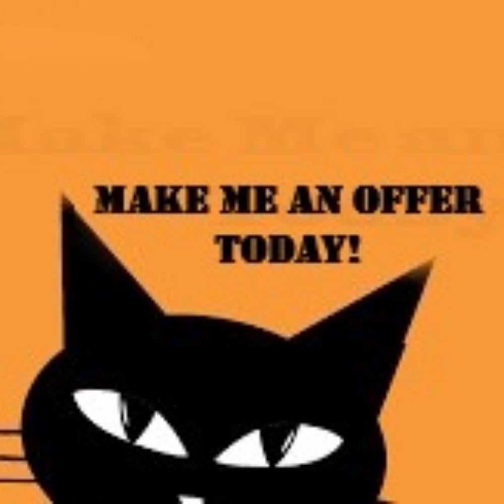 🖤🐈‍⬛ Make an Offer Today 🐈‍⬛🖤